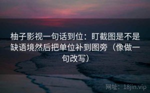 柚子影视一句话到位：盯截图是不是缺语境然后把单位补到图旁（像做一句改写）