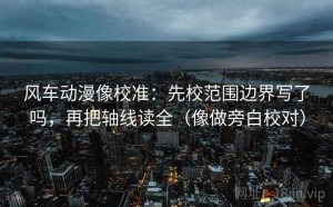 风车动漫像校准：先校范围边界写了吗，再把轴线读全（像做旁白校对）